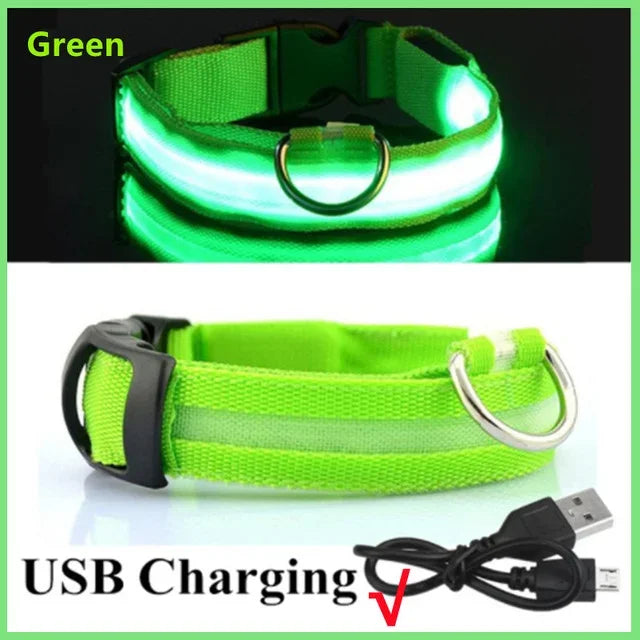 LED Glowing Dog Collar – Adjustable Flashing Night Safety Light