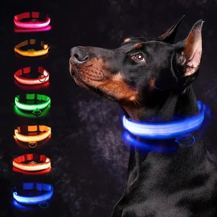 LED Glowing Dog Collar – Adjustable Flashing Night Safety Light