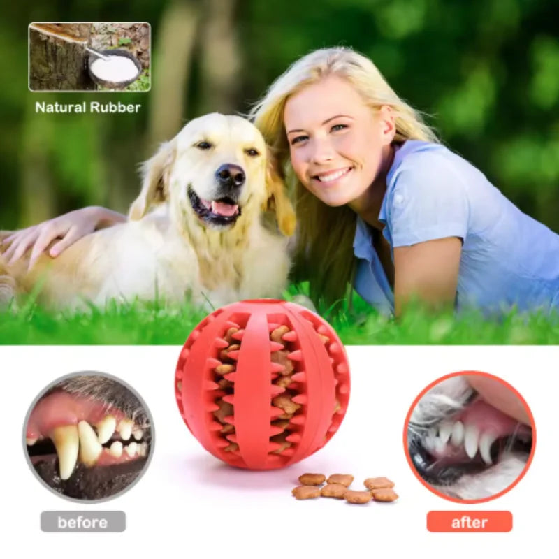Interactive Rubber Chew Ball – Pet Toy & Treat Feeder