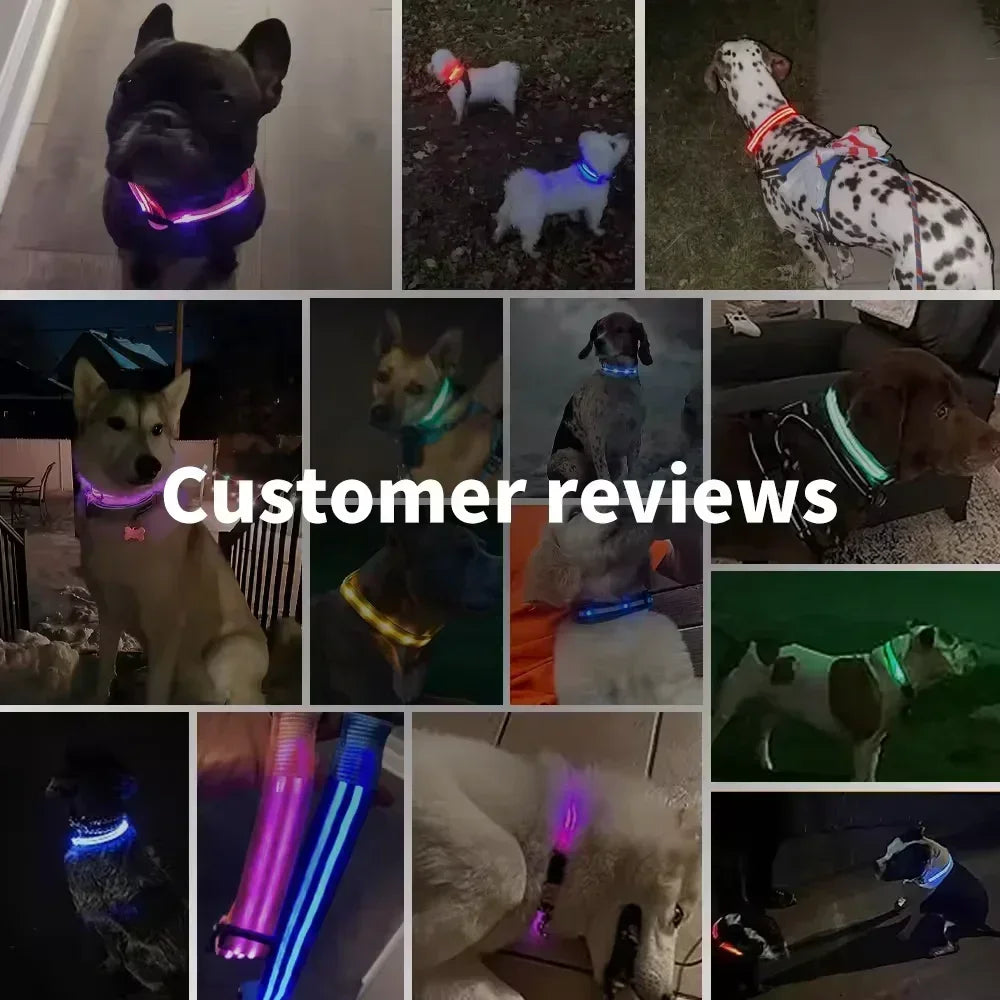 LED Glowing Dog Collar – Adjustable Flashing Night Safety Light