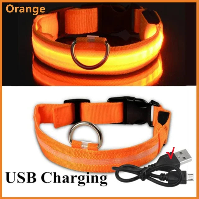 LED Glowing Dog Collar – Adjustable Flashing Night Safety Light