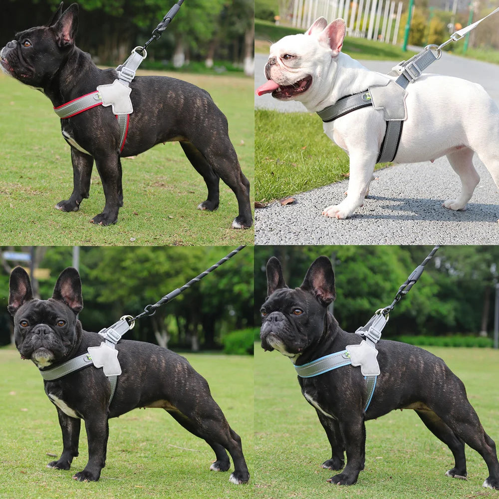 Adjustable Reflective Pet Harness – Dogs & Cats