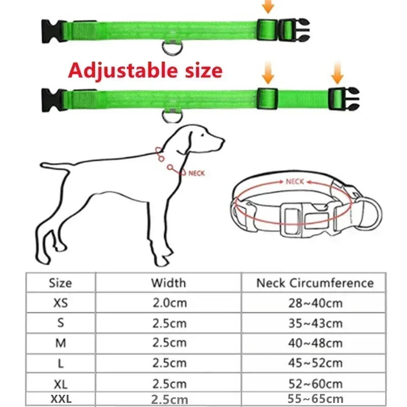 LED Glowing Dog Collar – Adjustable Flashing Night Safety Light