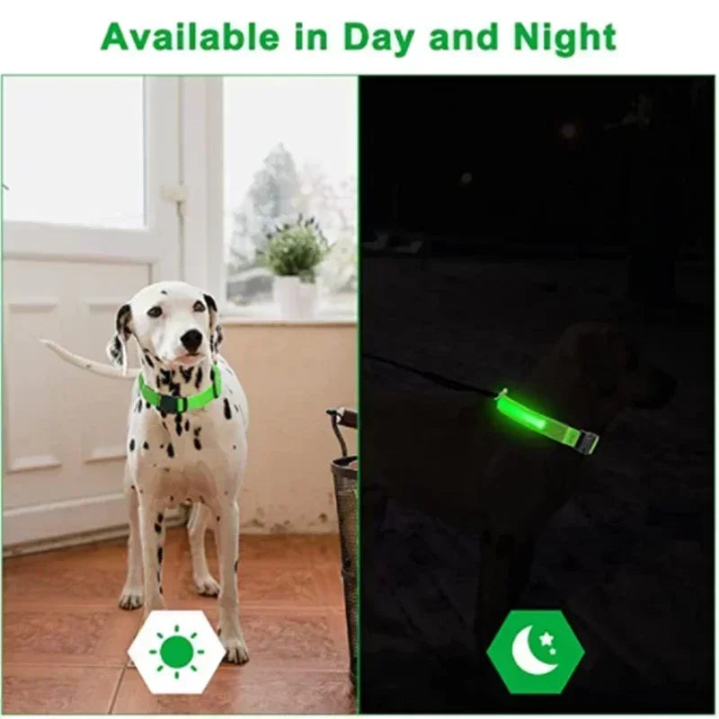LED Glowing Dog Collar – Adjustable Flashing Night Safety Light